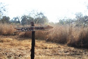 Cycle Trail